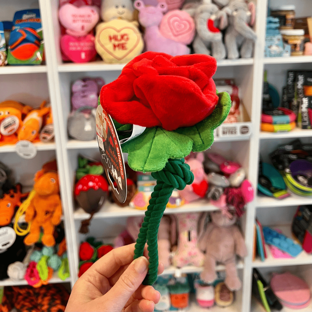 Scarlet Rose Rope Toy