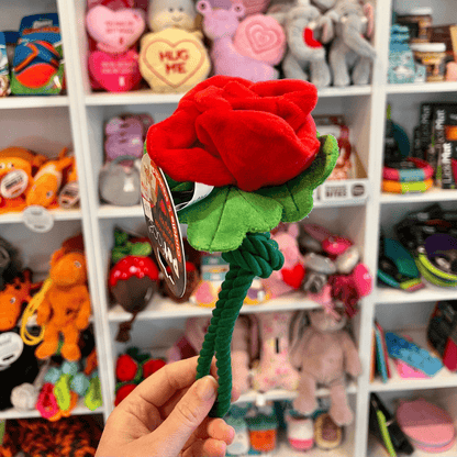 Scarlet Rose Rope Toy
