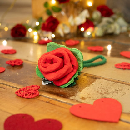 Scarlet Rose Rope Toy