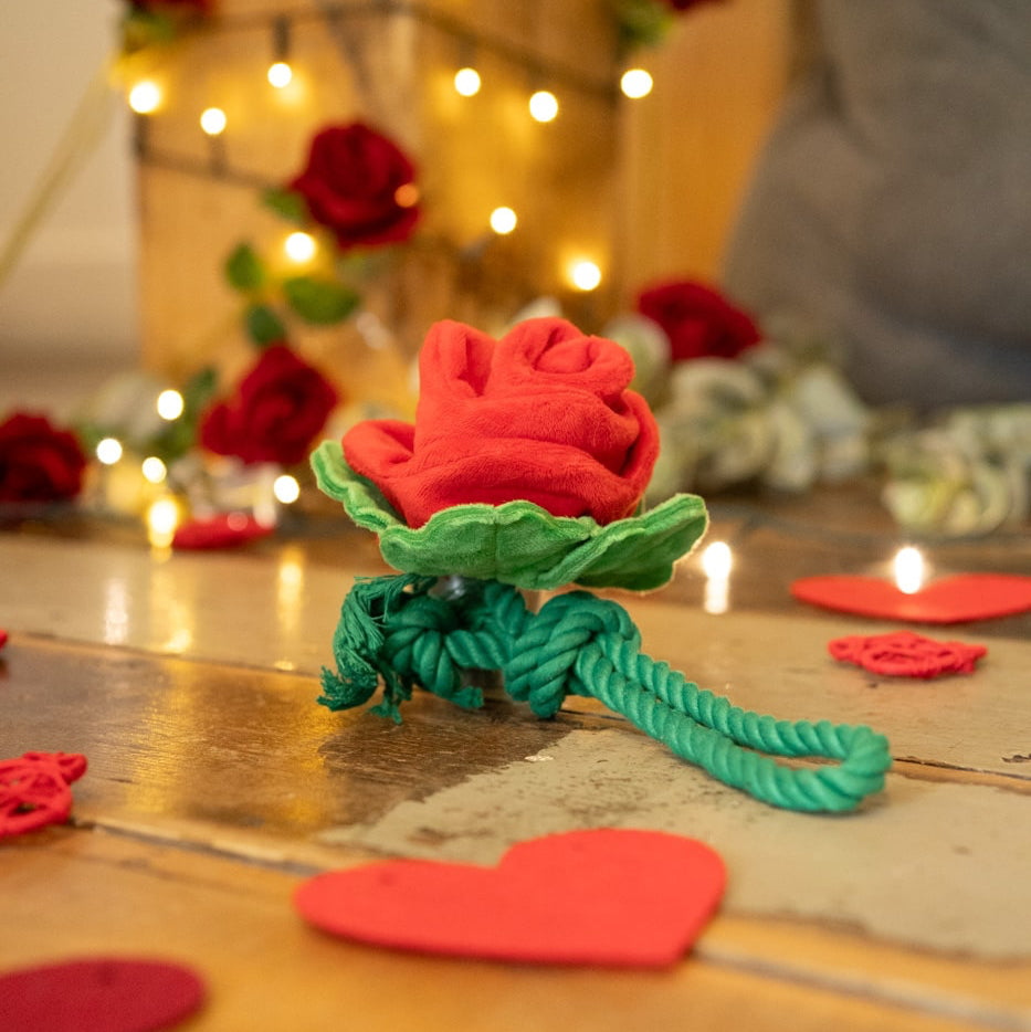 Scarlet Rose Rope Toy