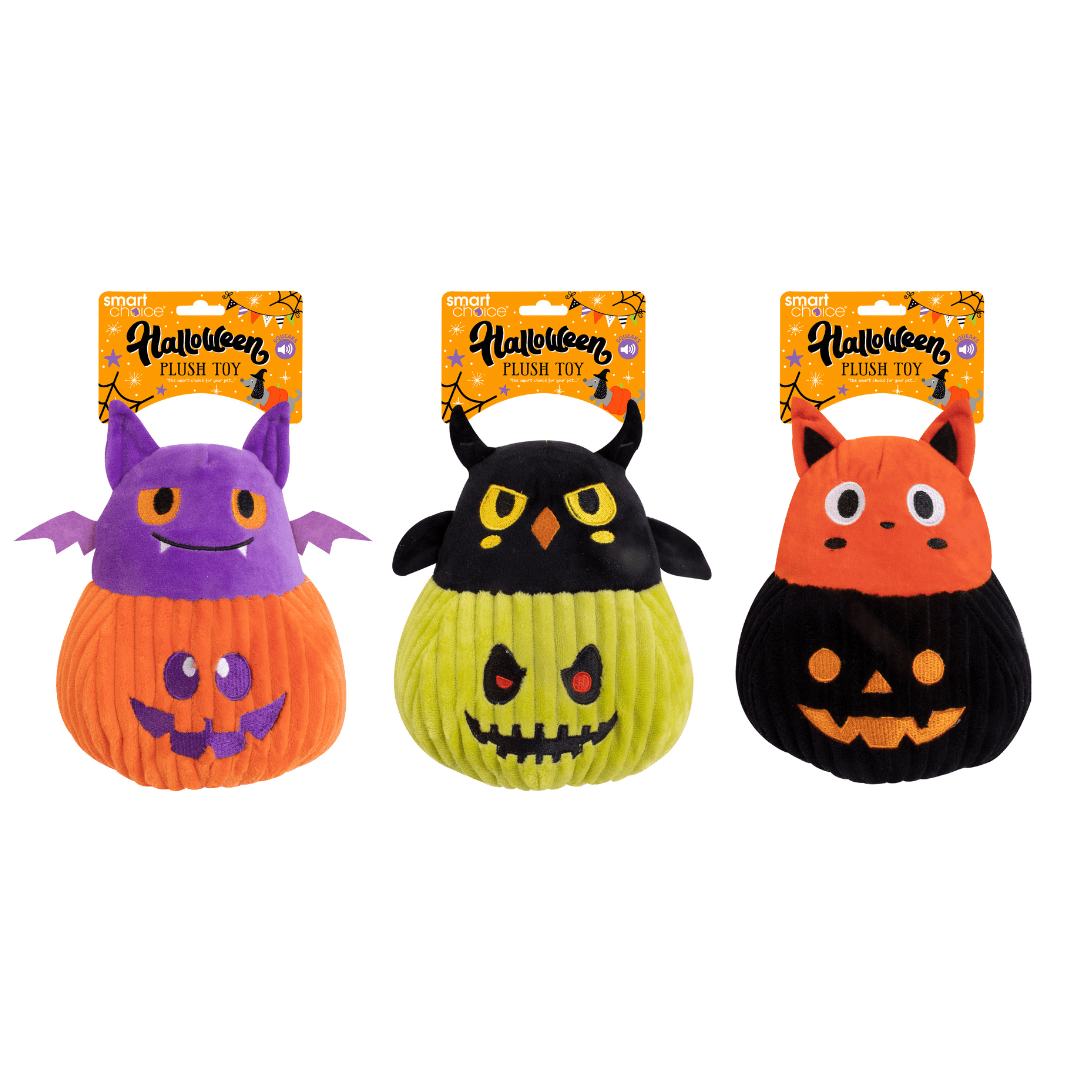 Squeaky Pumpkin Toy