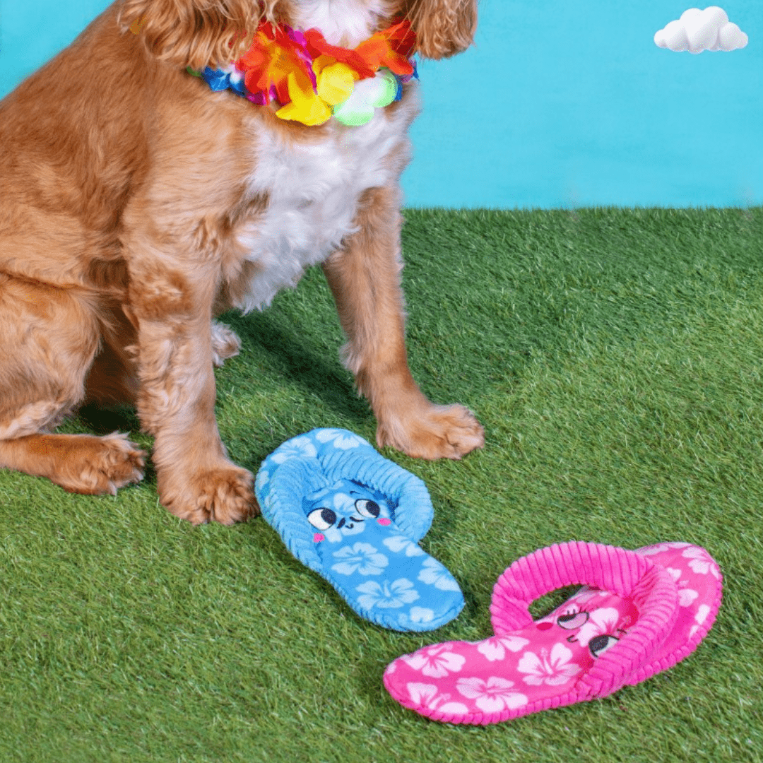 Stuffing Free Flip Flop Toy