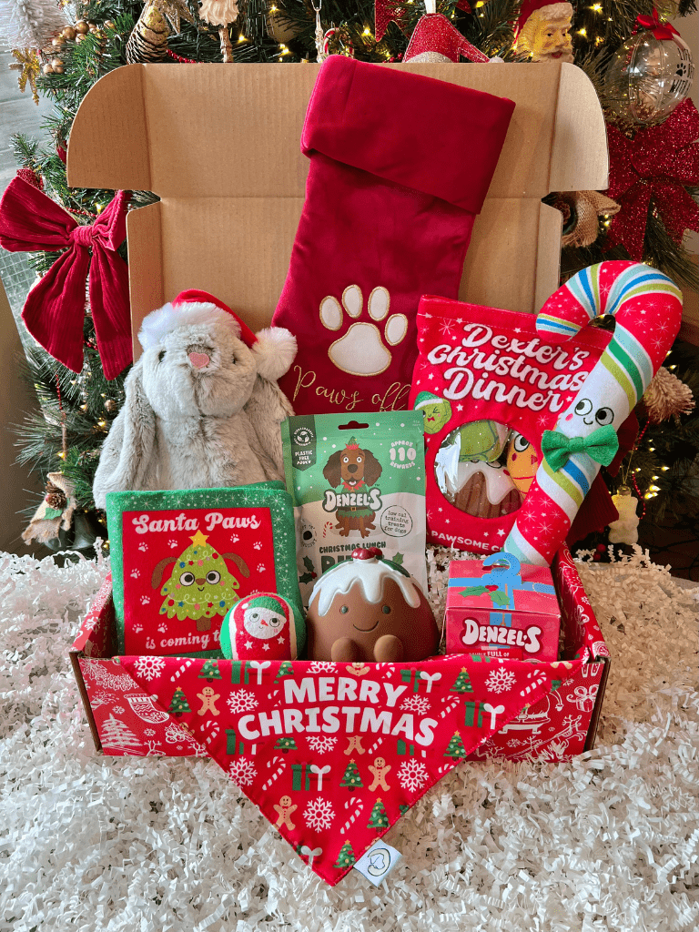 Ultimate Christmas Dog Hamper