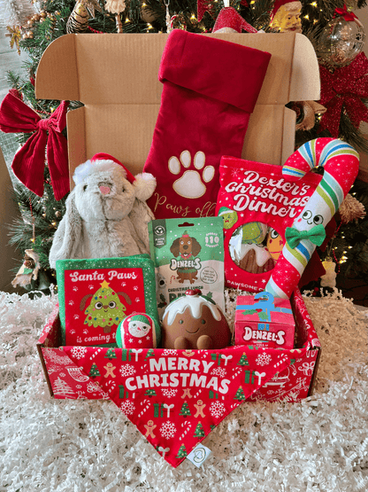 Ultimate Christmas Dog Hamper