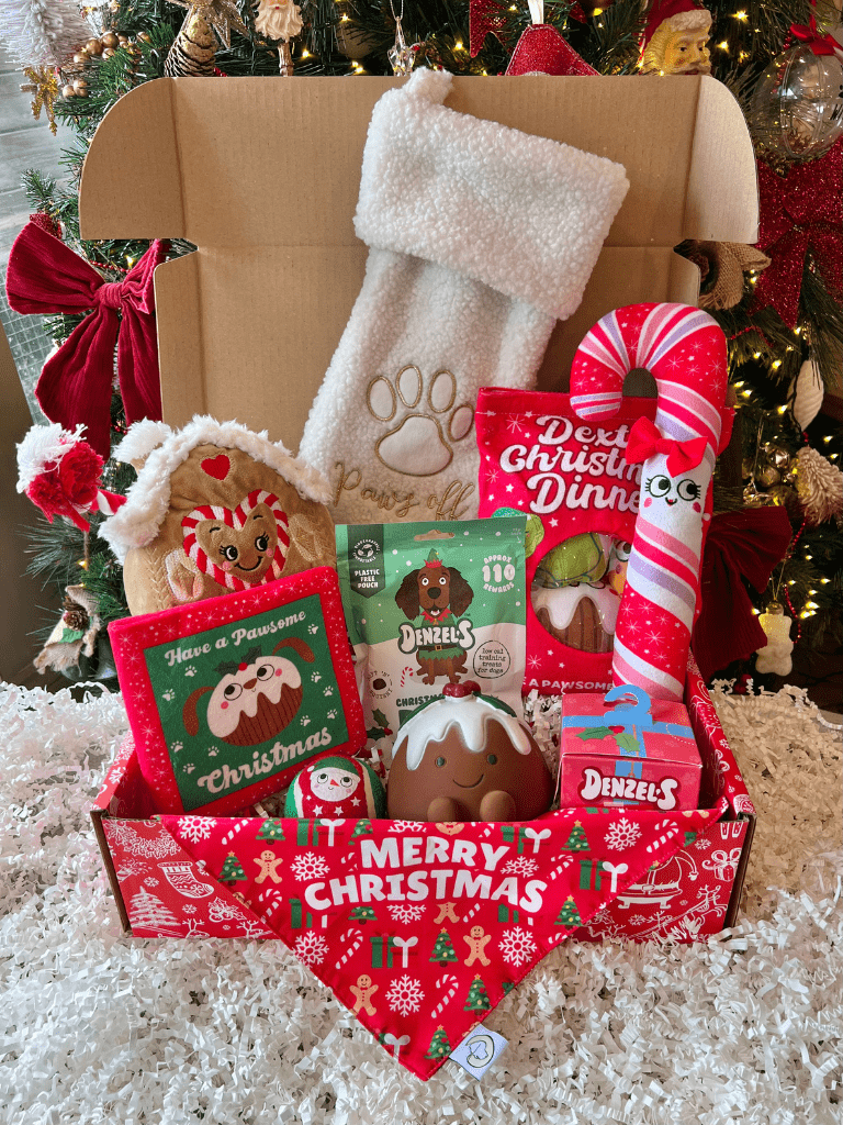 Ultimate Christmas Dog Hamper