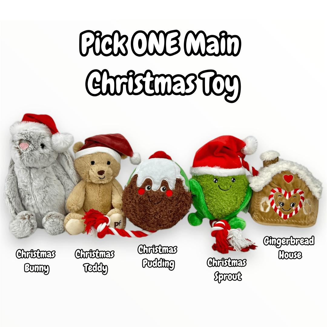 Ultimate Christmas Dog Hamper