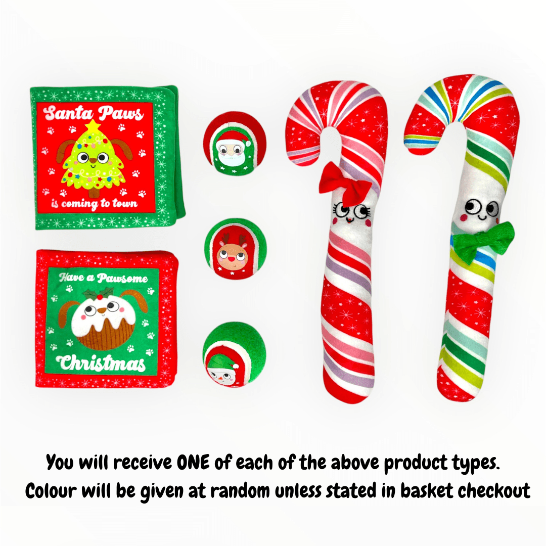 Ultimate Christmas Dog Hamper