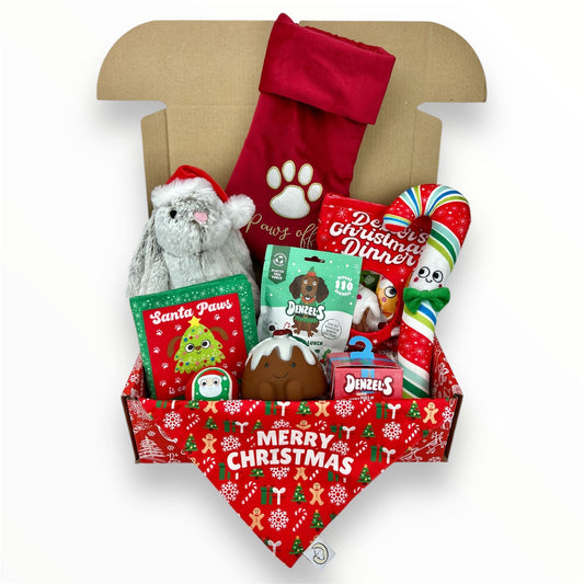 Ultimate Christmas Dog Hamper