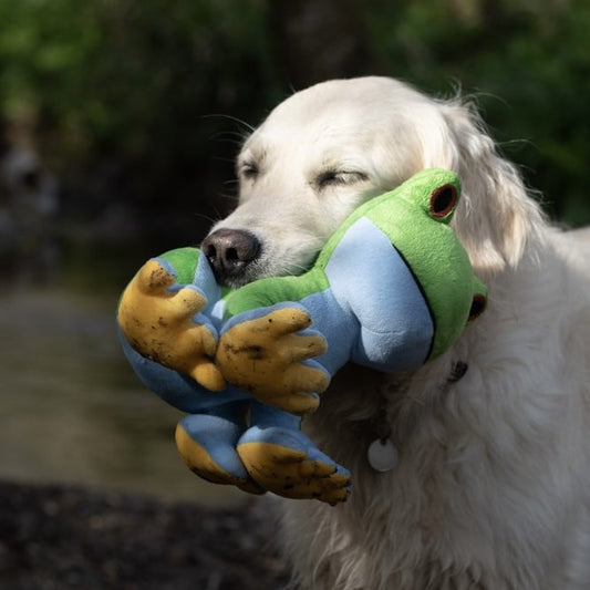 Trev Tree Frog Dog Toy