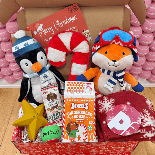 Winter Paws Dog Hamper